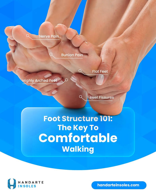 Foot Structure 101: The Key to Comfortable Walking